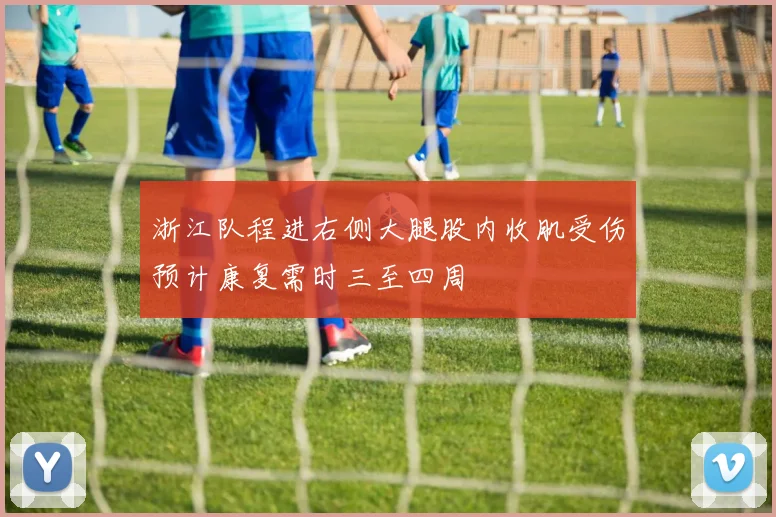 浙江队程进右侧大腿股内收肌受伤预计康复需时三至四周